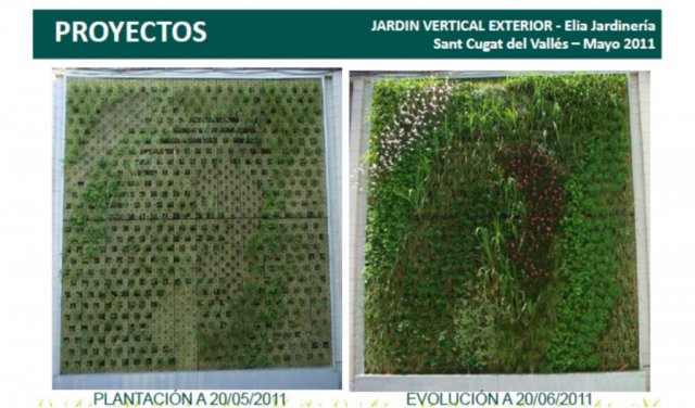 13 jardines verticales